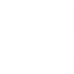 Fabric Traditions Bleached White Muslin Cotton Fabric