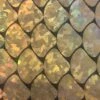 1 Yard Big Mermaid Shell Hologram Nylon Spandex Fabric 58/60 Inch Width Gold