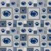 Licensed NCAA Penn State University Box Fleece PS158 Fabric By The Yard -Michaels Shop 244405585742256