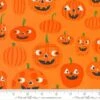 Too Cute To Spook Orange Pumpkin 44"/45" Fabric Per Yard