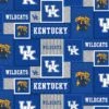 Sykel Enterprises-University Of Kentucky Fleece Fabric-Kentucky Wildcats College Patch Fleece Blanket Fabric-Sold By The Yard -Michaels Shop 43601568098784